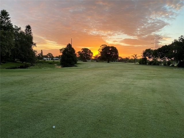 view of yard at dusk