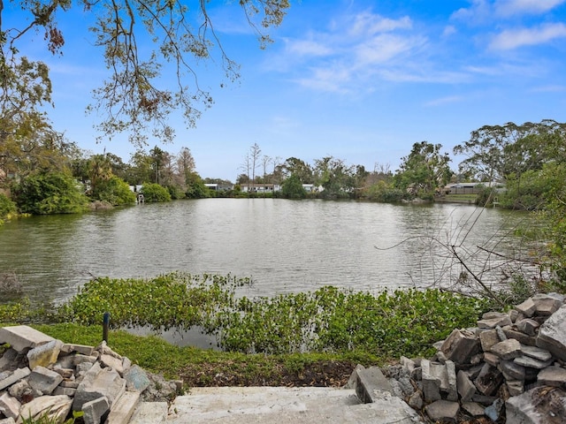 property view of water