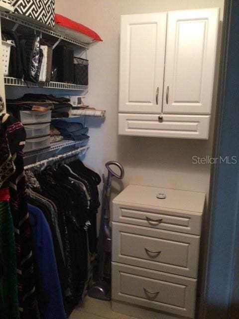 view of walk in closet