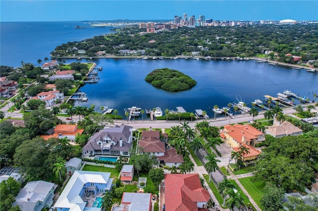 aerial view with a water view