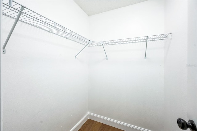 spacious closet featuring hardwood / wood-style flooring