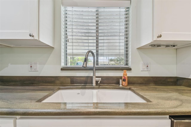 interior details featuring white cabinetry and sink