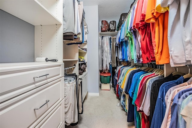 view of spacious closet