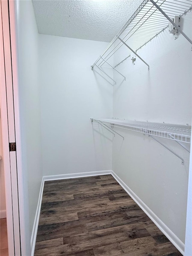 spacious closet featuring dark hardwood / wood-style floors