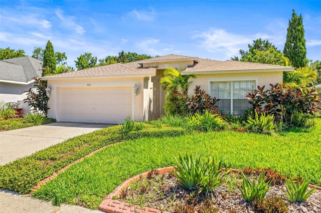 4251 Whittner Dr, Land O Lakes, FL 34639 - photo 49