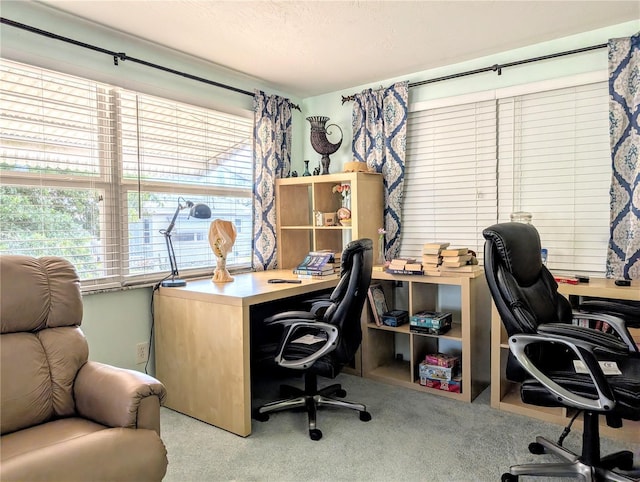 carpeted office space featuring a textured ceiling