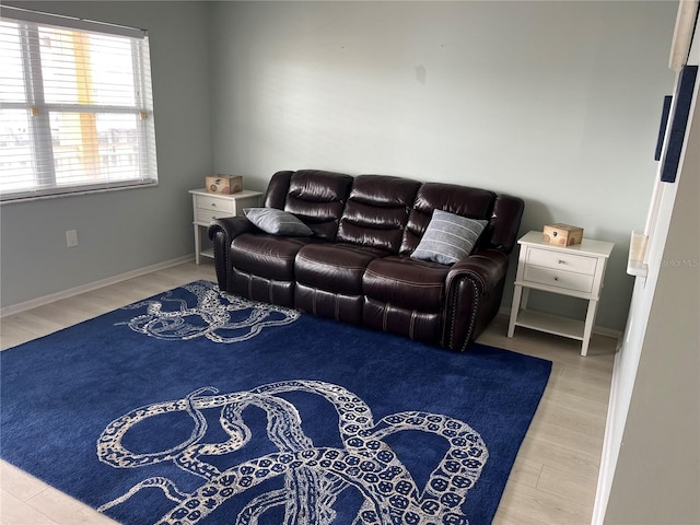 living room with hardwood / wood-style floors