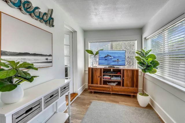 living area with light hardwood / wood-style floors and a textured ceiling