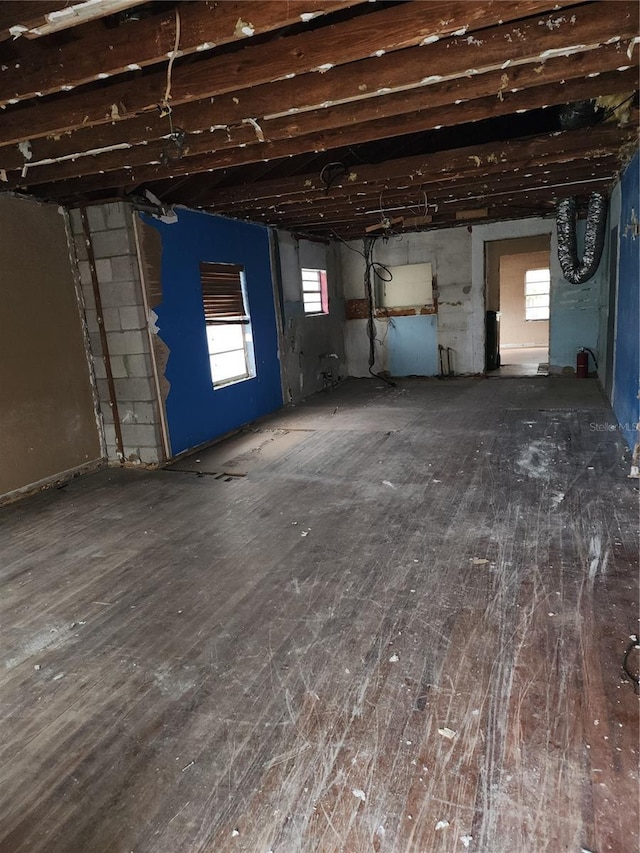 basement featuring plenty of natural light and dark hardwood / wood-style flooring