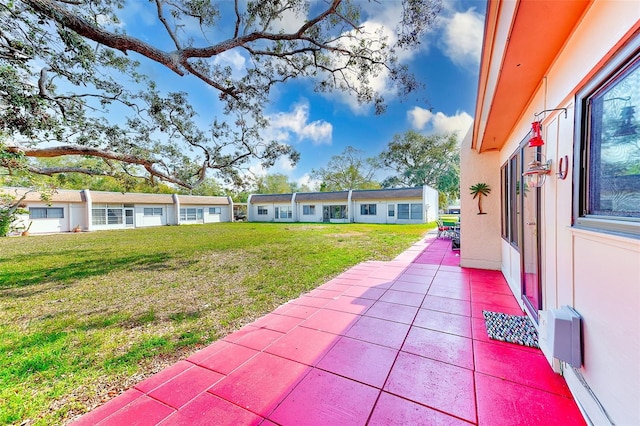 view of yard featuring a patio area