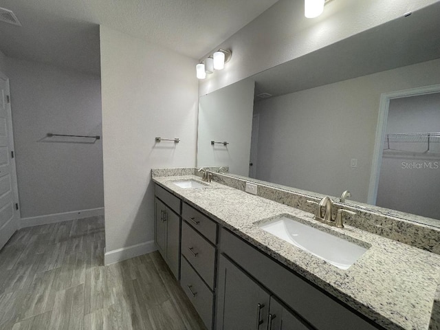 bathroom featuring hardwood / wood-style flooring and vanity