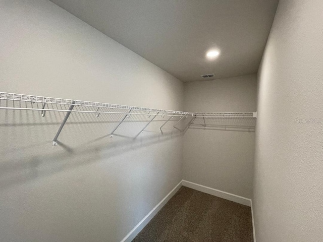 walk in closet featuring carpet