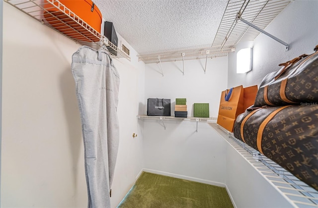 spacious closet with carpet floors