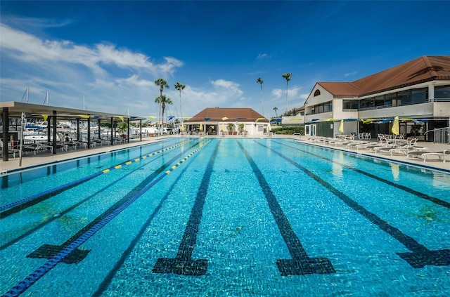 view of swimming pool