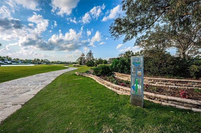 view of property's community with a yard