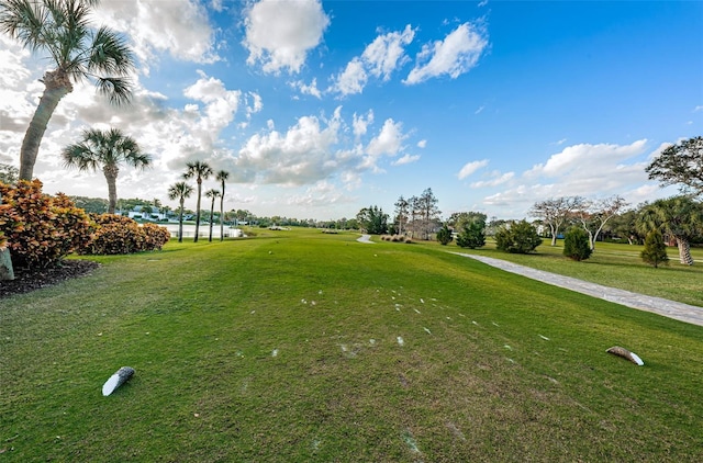 view of community with a lawn