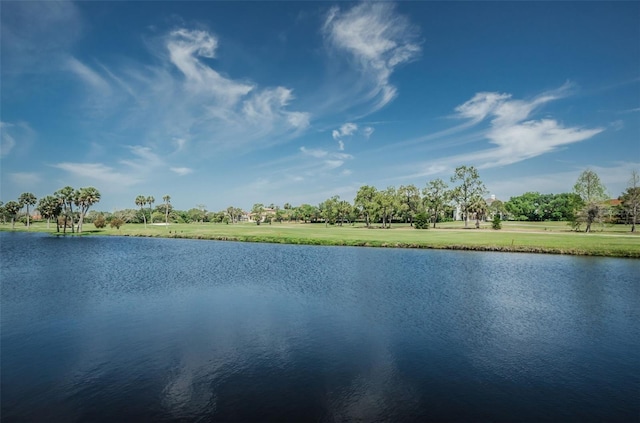 property view of water