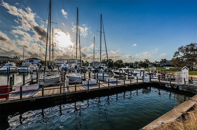 dock area with a water view