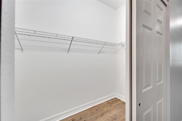 spacious closet featuring wood-type flooring