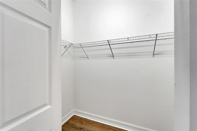 spacious closet featuring hardwood / wood-style flooring