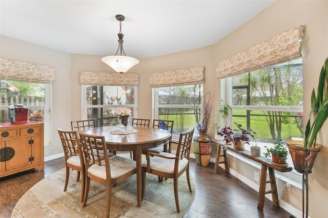 dining room with baseboards and dark wood-type flooring