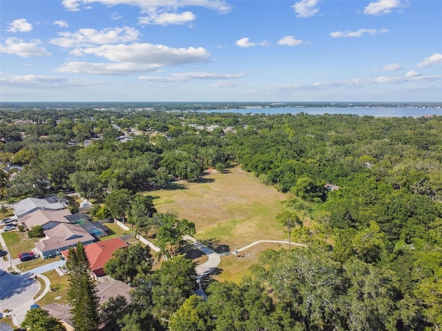 drone / aerial view featuring a water view and a view of trees