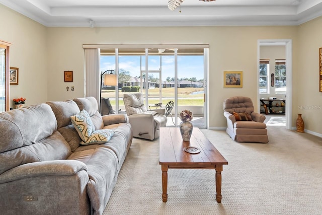 living room featuring light colored carpet