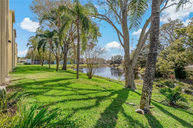 view of yard with a water view