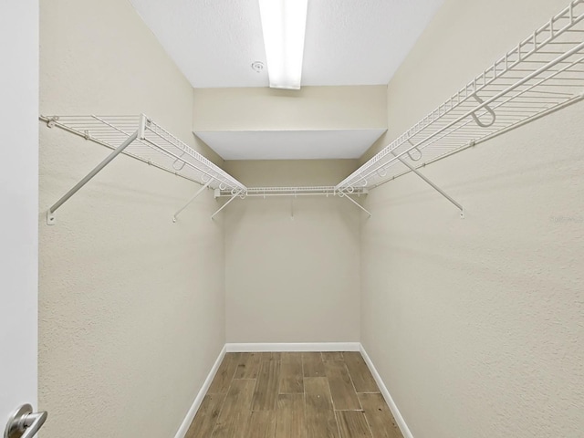 spacious closet with hardwood / wood-style floors