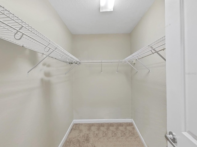 walk in closet featuring carpet floors