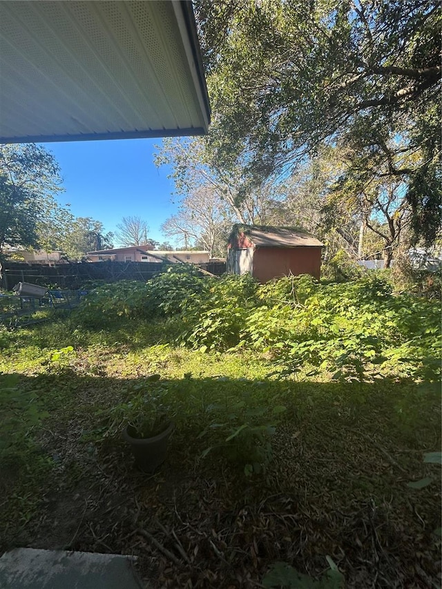 view of yard featuring a storage unit