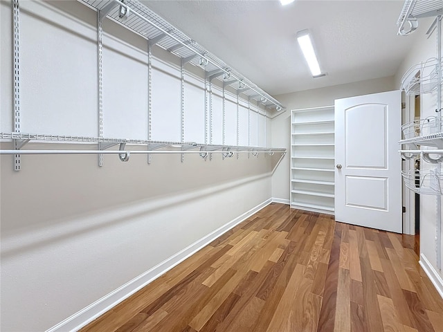 spacious closet featuring hardwood / wood-style floors