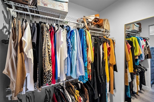 spacious closet featuring wood-type flooring