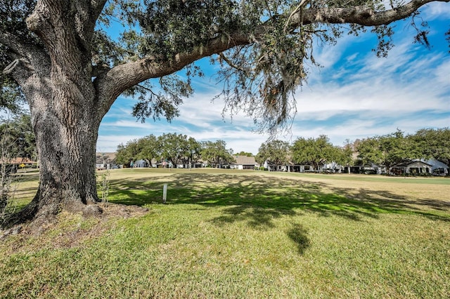 9204 Golf View Dr, New Port Richey, FL 34655 - photo 24