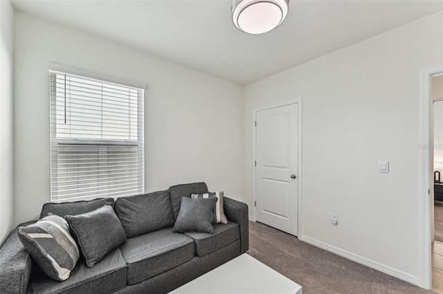 living room featuring carpet floors