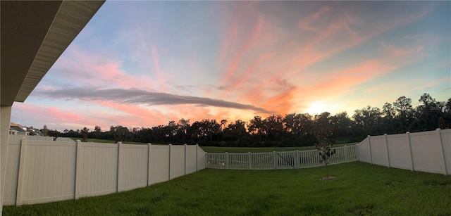 view of yard at dusk