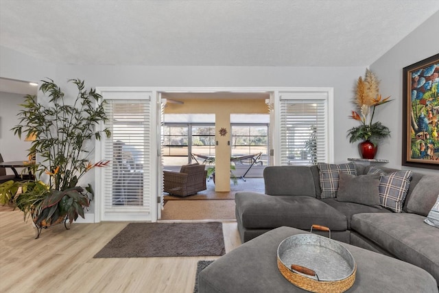 living room with light hardwood / wood-style flooring and a textured ceiling