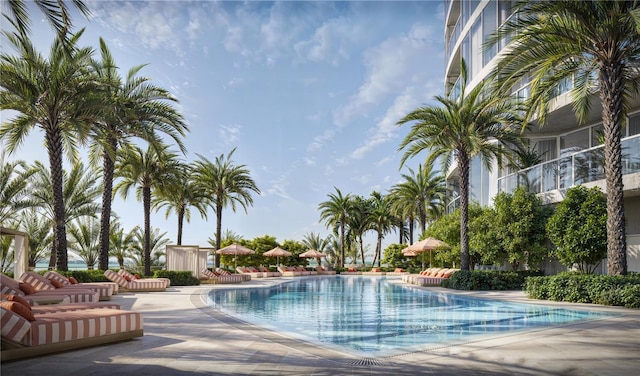 view of swimming pool featuring a patio