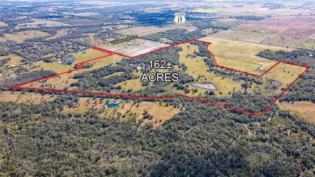 5009 SW Oakwood Ave, Arcadia, FL 34269 - birds eye view of property