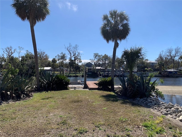 view of yard with a water view