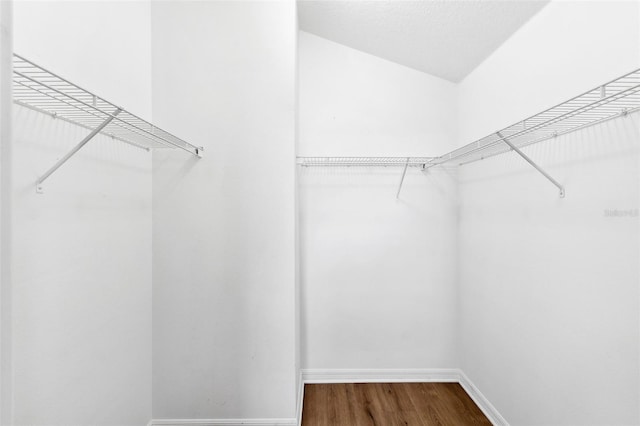 walk in closet with wood-type flooring