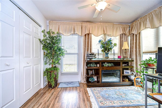 sitting room with ceiling fan, hardwood / wood-style floors, and a textured ceiling