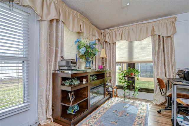 home office with hardwood / wood-style floors, a textured ceiling, and a wealth of natural light