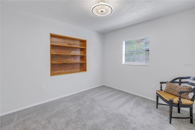 sitting room featuring carpet and a textured ceiling