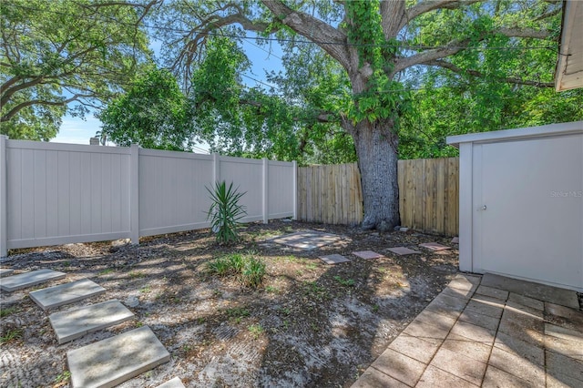 view of yard featuring a shed