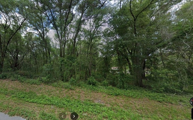 634 S Savary Ave, Inverness FL, 34453 land for sale