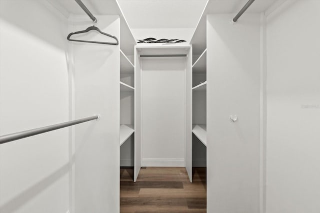 spacious closet featuring wood-type flooring