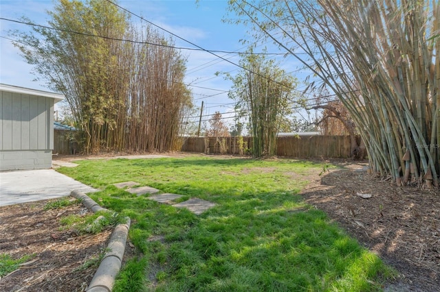 view of yard featuring a patio