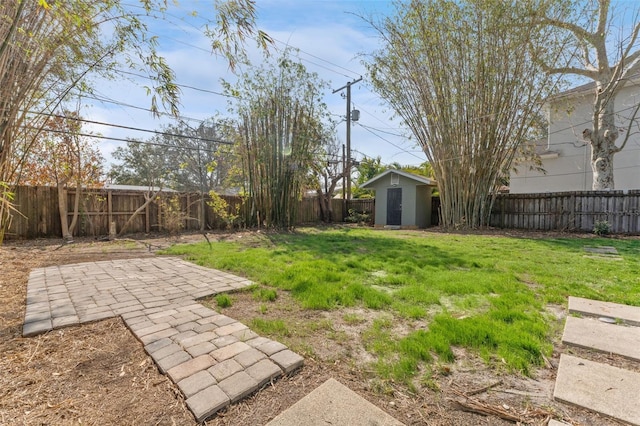 view of yard with a patio and a storage unit