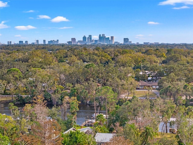 bird's eye view featuring a view of city and a water view